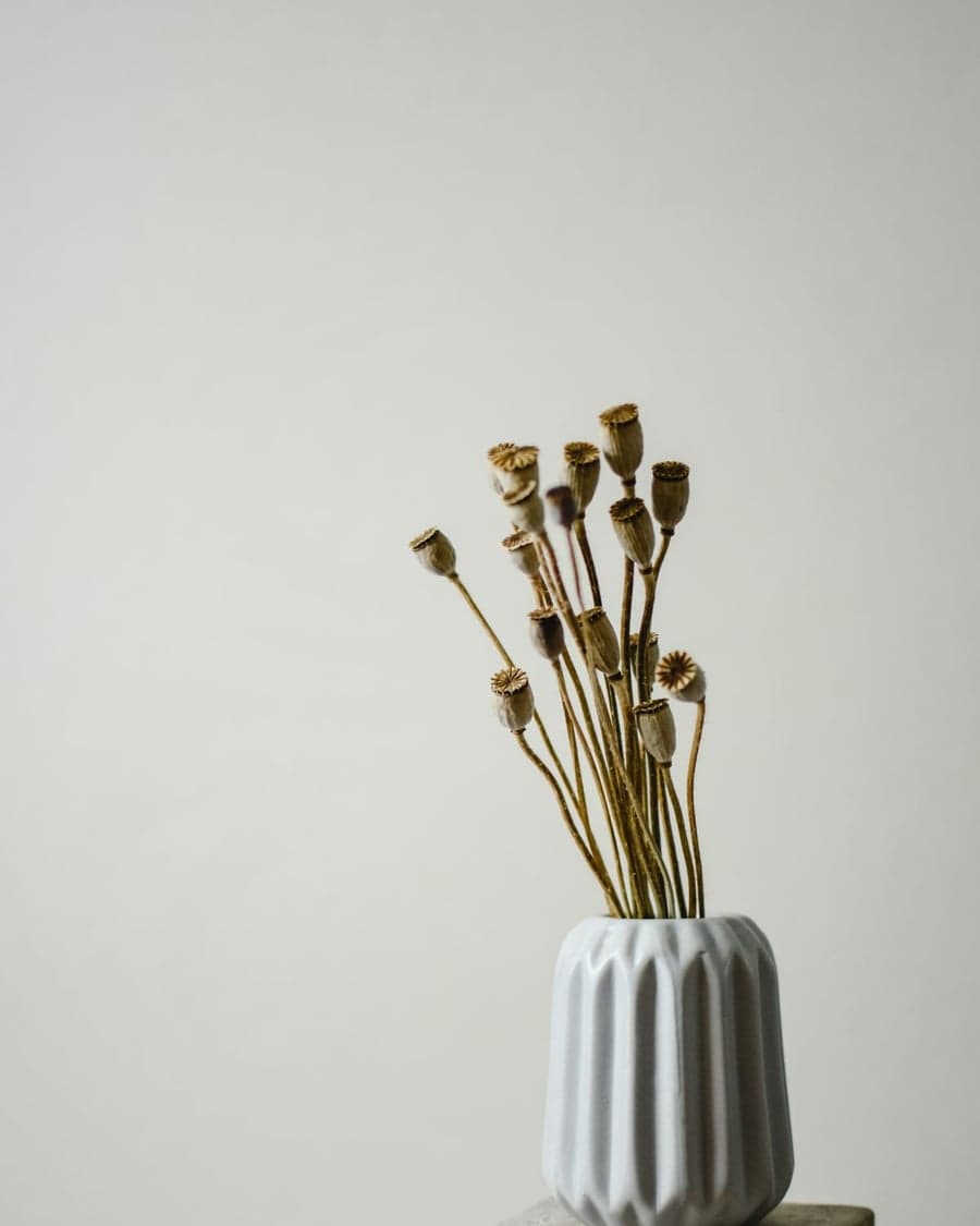 Gerippte Vase mit Trockenblumen auf einem Sockel