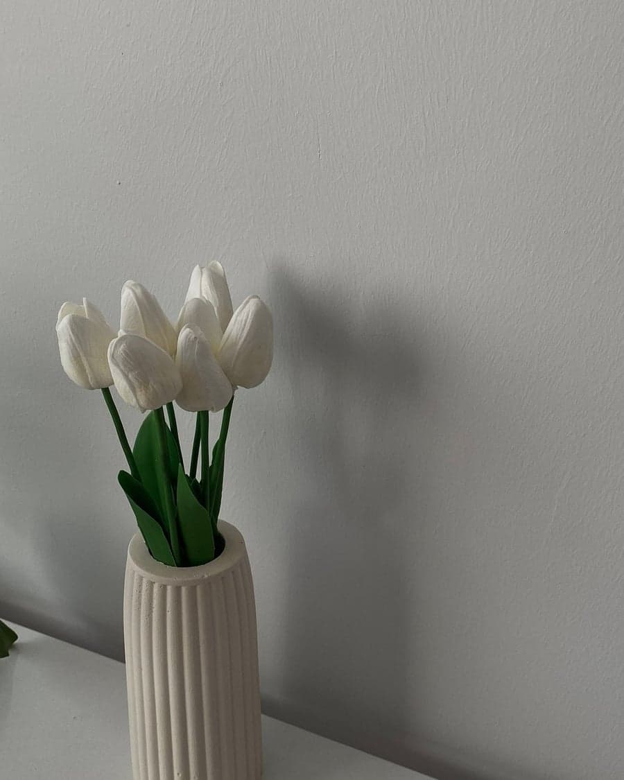 Weiße Tulpen in einer gerippten Vase vor heller Wand